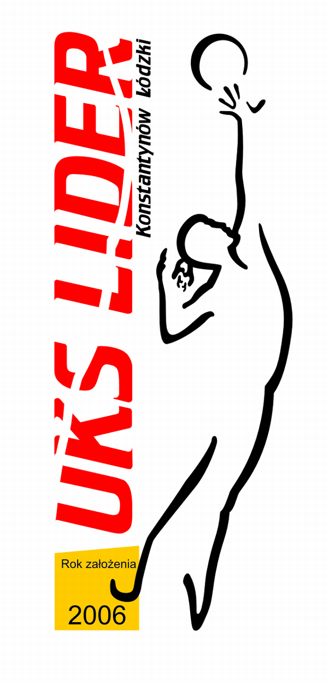 lider logo 1